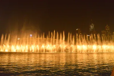 DSC_4160 (Large).JPG